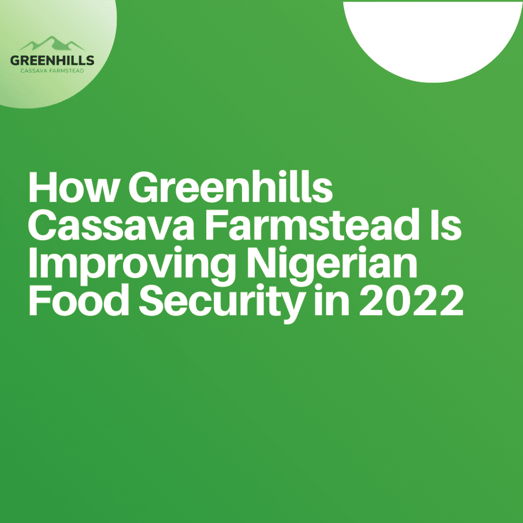 How Greenhills Cassava Farmstead Is Improving Nigerian Food Security In 2022