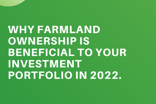 Why Farmland Ownership is Beneficial To Your Investment Portfolio in 2022.