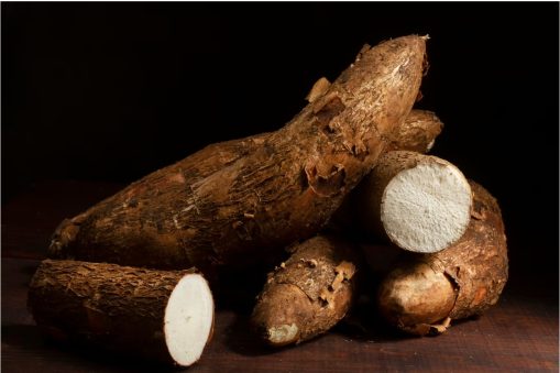 cassava root1